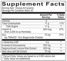 Load image into Gallery viewer, IntestaShield