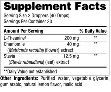 Load image into Gallery viewer, L-Theanine Liquid