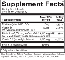 Load image into Gallery viewer, Methyl Boost